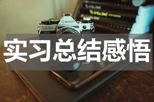实习总结感悟