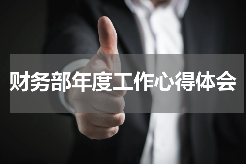 财务部年度工作心得体会