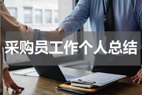 采购员工作个人总结