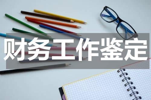 财务工作鉴定