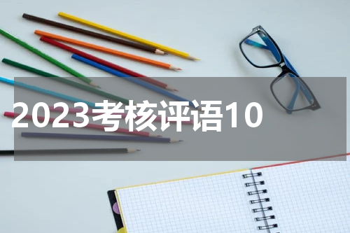 2023考核评语10