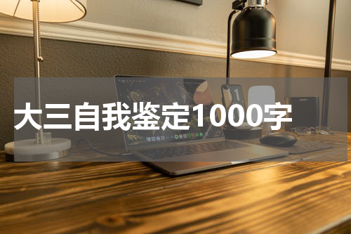 大三自我鉴定1000字
