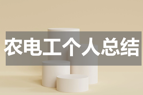 农电工个人总结