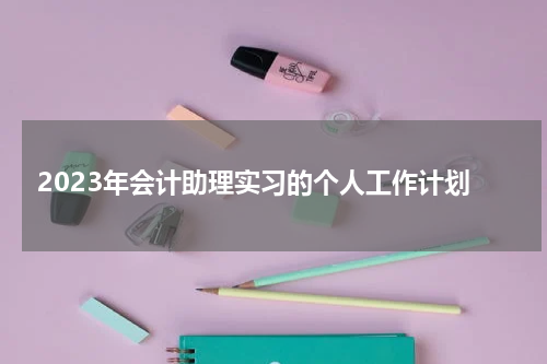 2023年会计助理实习的个人工作计划