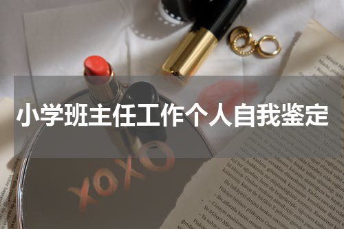小学班主任工作个人自我鉴定