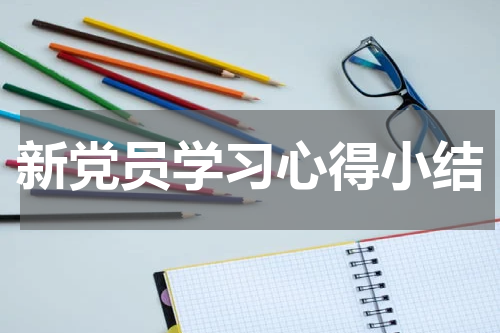 新党员学习心得小结