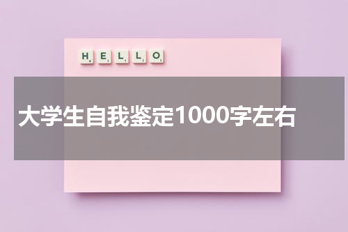 大学生自我鉴定1000字左右