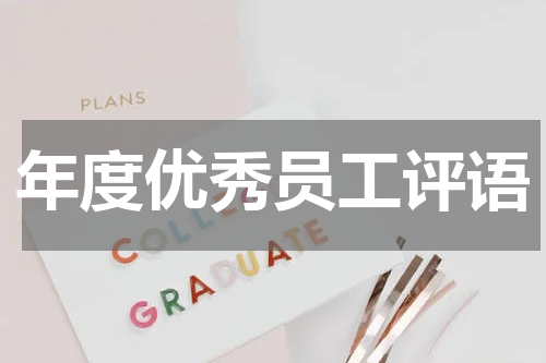 年度优秀员工评语