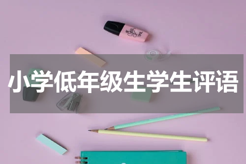 小学低年级生学生评语