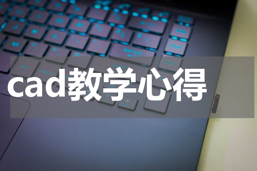 cad教学心得