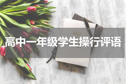 高中一年级学生操行评语