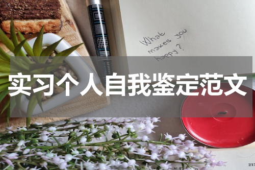 实习个人自我鉴定范文