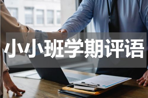 小小班学期评语