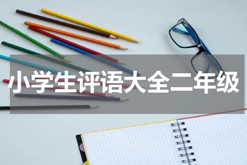 小学生评语大全二年级