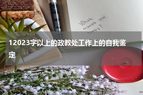 12023字以上的政教处工作上的自我鉴定