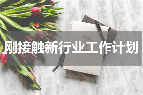 刚接触新行业工作计划
