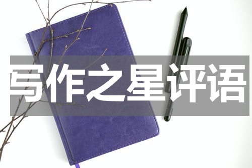写作之星评语
