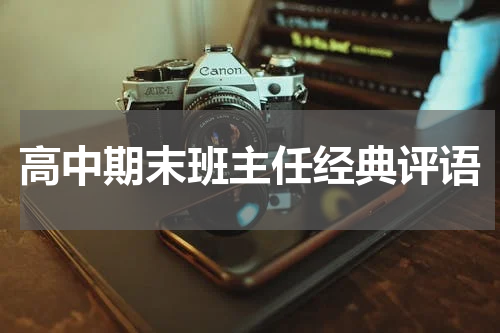 高中期末班主任经典评语