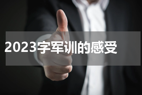 2023字军训的感受