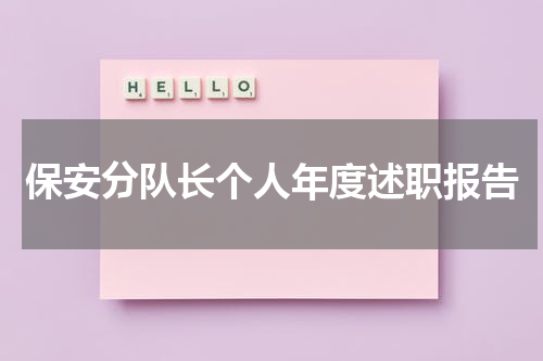 保安分队长个人年度述职报告