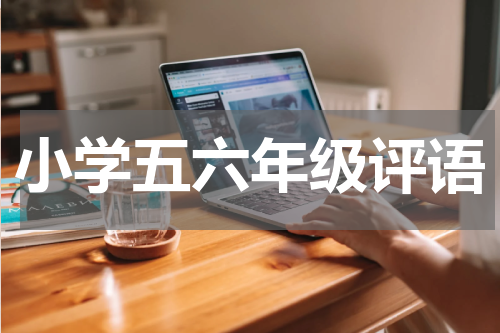 小学五六年级评语