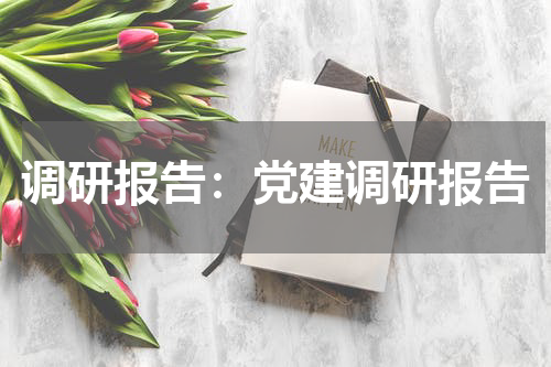 调研报告：党建调研报告