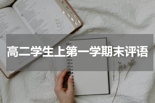 高二学生上第一学期末评语