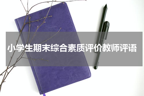 小学生期末综合素质评价教师评语