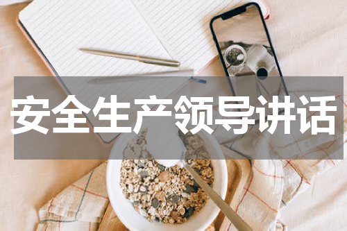 安全生产领导讲话