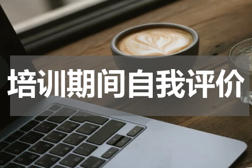 培训期间自我评价