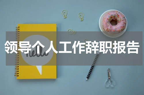 领导个人工作辞职报告