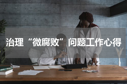 治理“微腐败”问题工作心得