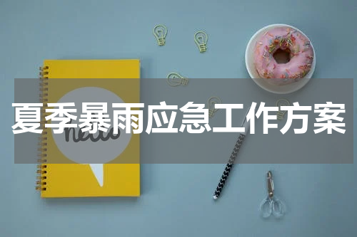 夏季暴雨应急工作方案