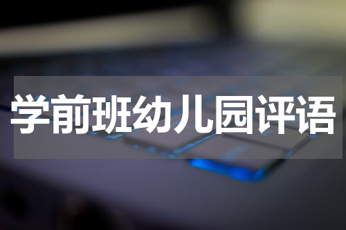 学前班幼儿园评语