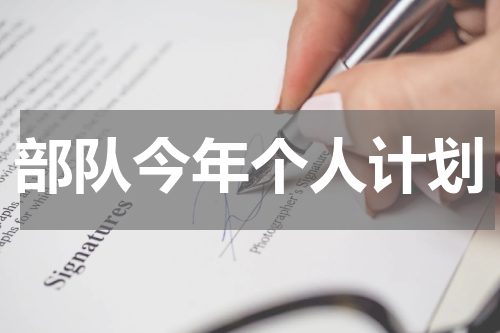 部队今年个人计划