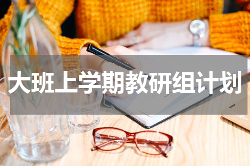 大班上学期教研组计划