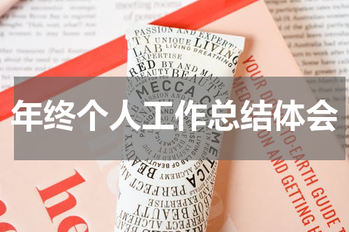 年终个人工作总结体会