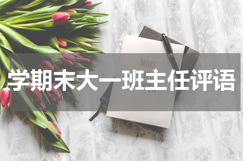 学期末大一班主任评语