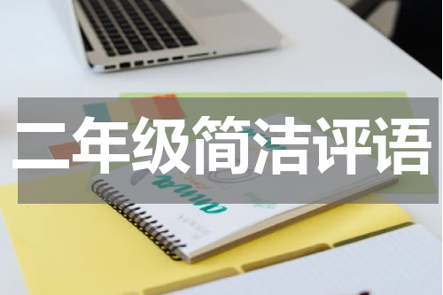 二年级简洁评语
