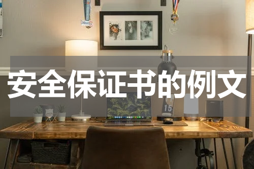 安全保证书的例文