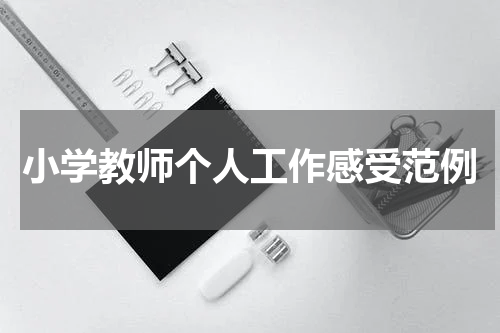 小学教师个人工作感受范例