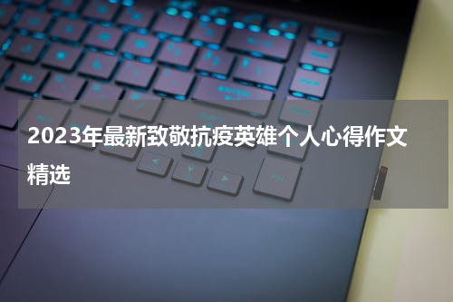 2023年最新致敬抗疫英雄个人心得作文精选