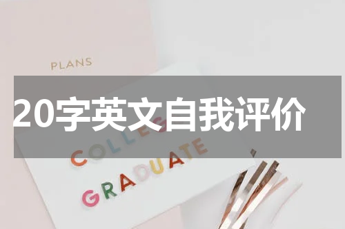 20字英文自我评价