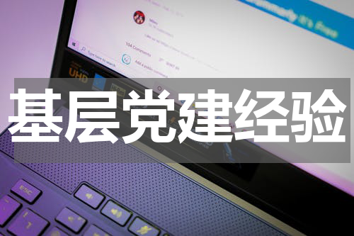 基层党建经验