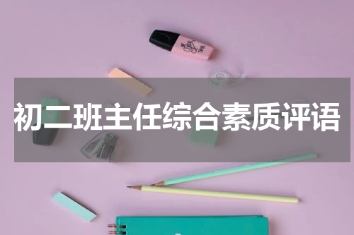 初二班主任综合素质评语