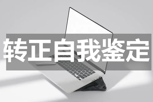 转正自我鉴定