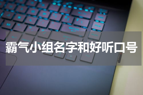 霸气小组名字和好听口号