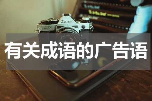 有关成语的广告语
