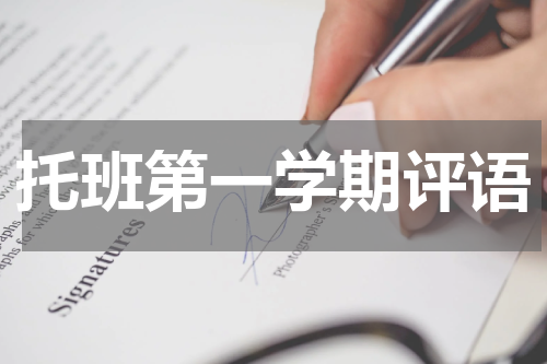 托班第一学期评语