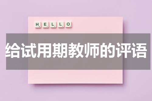 给试用期教师的评语